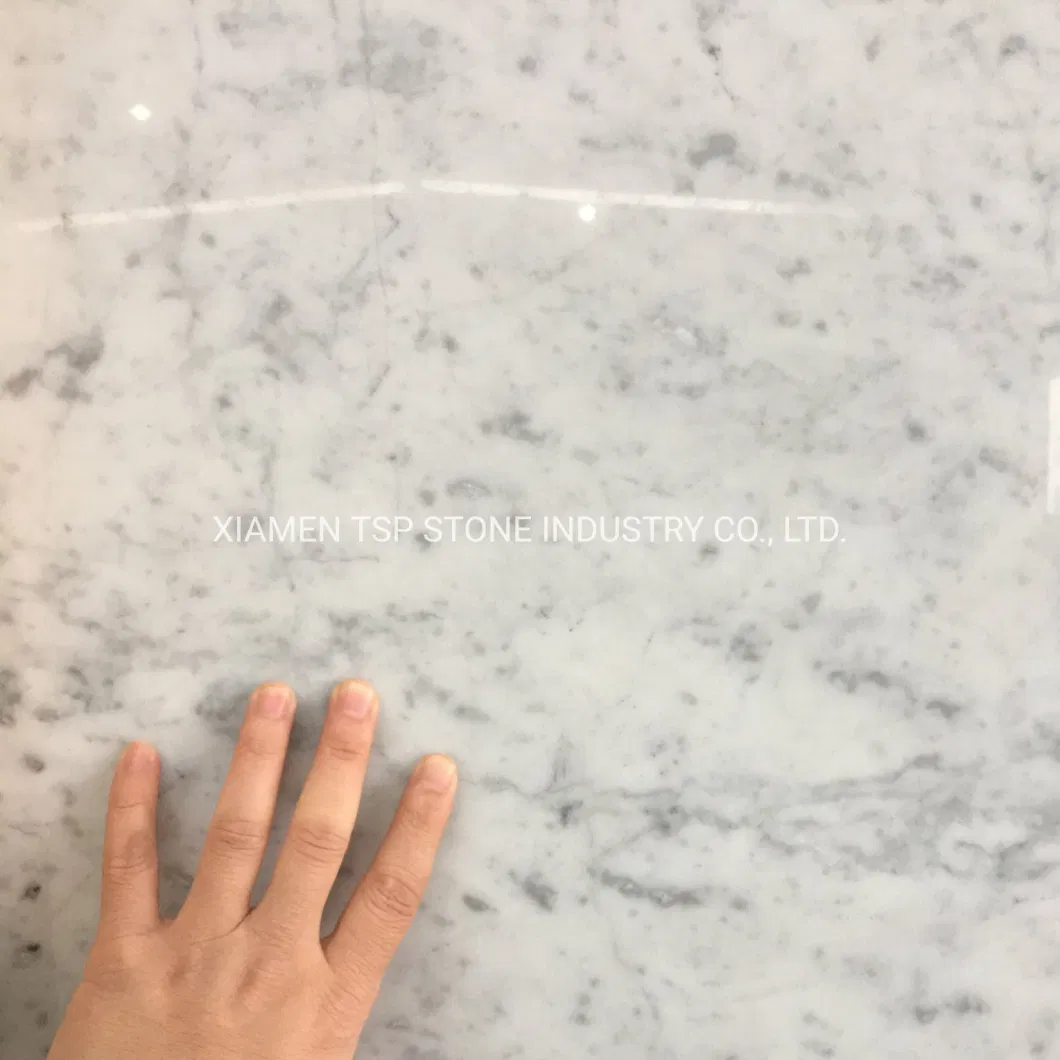 Selected Bianco Carrara White Marble Slab for Flooring/Floor/Bathroom Tile